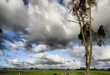 彩票app最新版怎么安全下载？需要注意哪些风险？