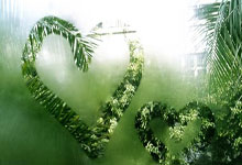 葡萄牙杯冠军意味着什么？